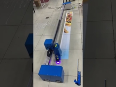 Stampa UV multifunzionale a piattaforma